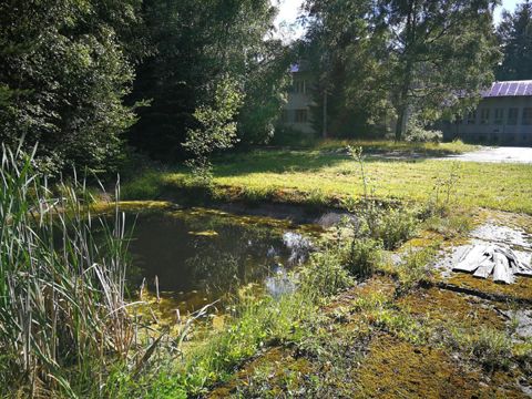 Foto 19